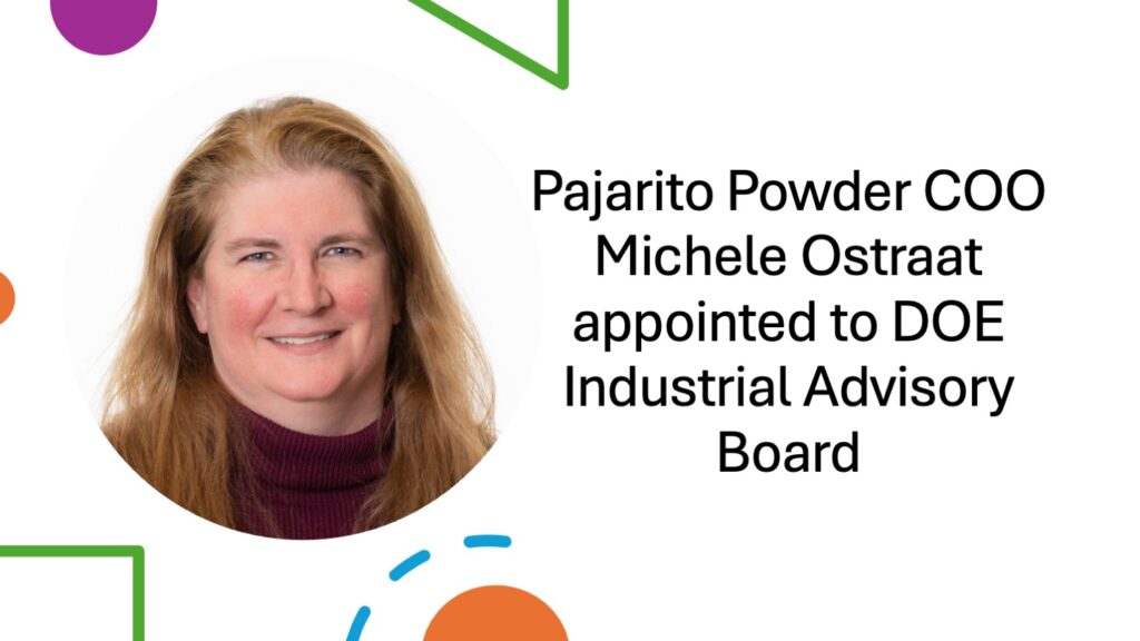 Michele Ostraat appointed to Industrial Advisory Board of the DOE